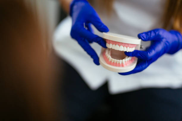 Trusted Glen Ellyn, IL  Holistic Dental Services Experts